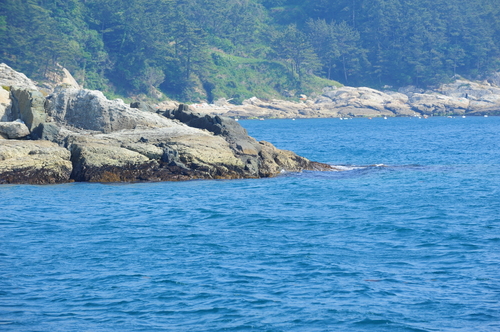 돌 무너진 자리 자료사진