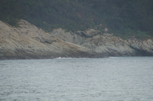 장도 서측 자료사진