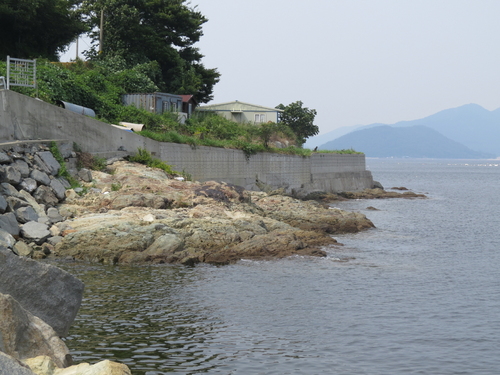 해돋이까페 부근 자료사진